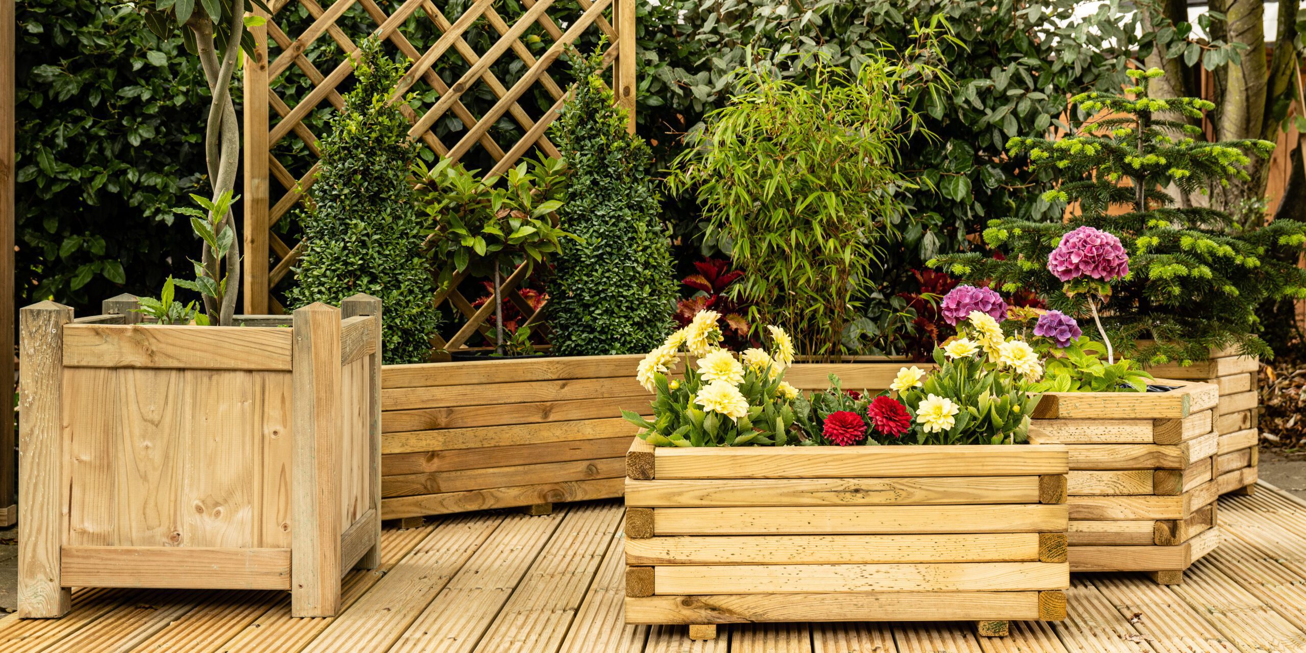 decking and planters